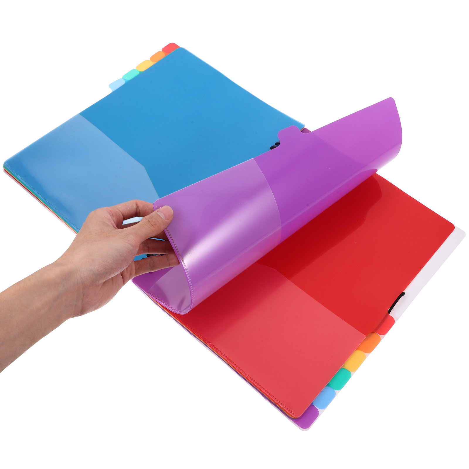 A4 Document Organizer File Bin - Tab Divider A4 review and price